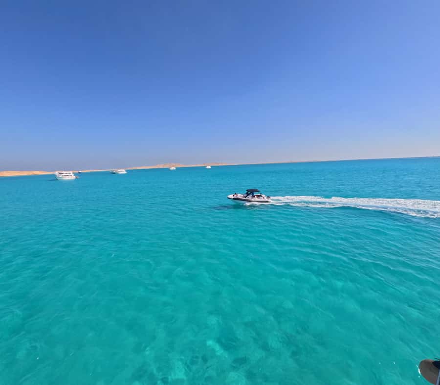 Hurghada: Turtle Bay Speedboat Tour with Snorkeling - Searching for turtles in their natural habitat