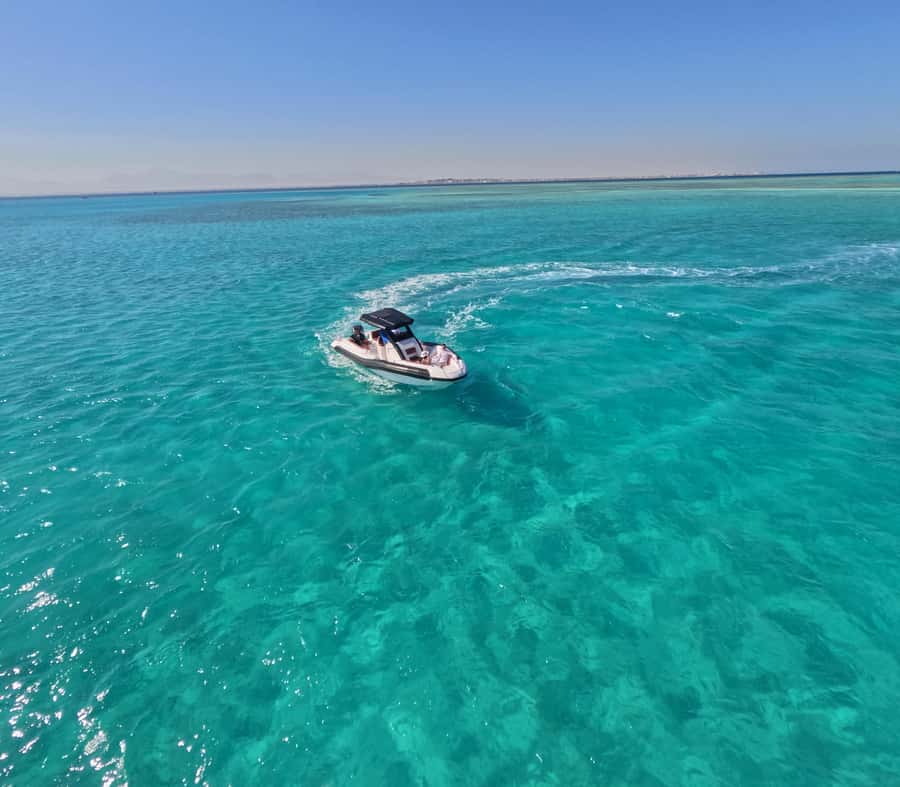 Hurghada: Turtle Bay Speedboat Tour with Snorkeling - What the guides add to the outing