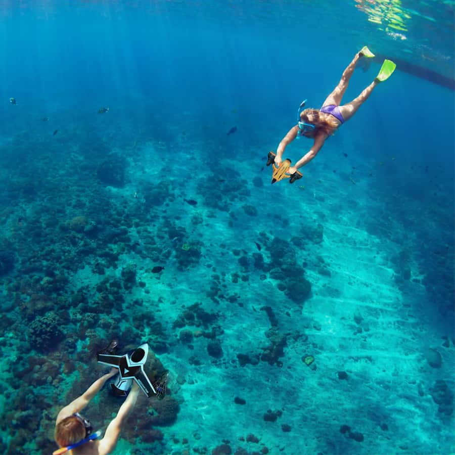 Hurghada: Water Sports, Banana Boat & Snorkeling Adventure - Dolphin searching and realistic expectations