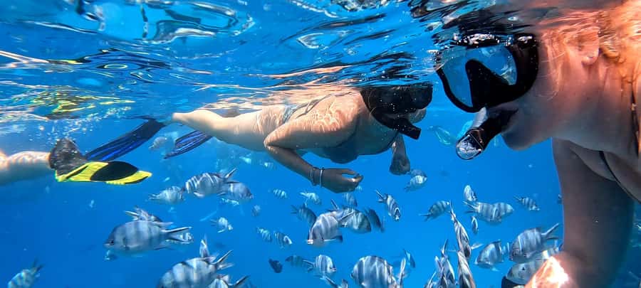 Hurghada: White Island Speedboat Tour, Snorkeling, & Lunch - The optional five-minute flight over the water