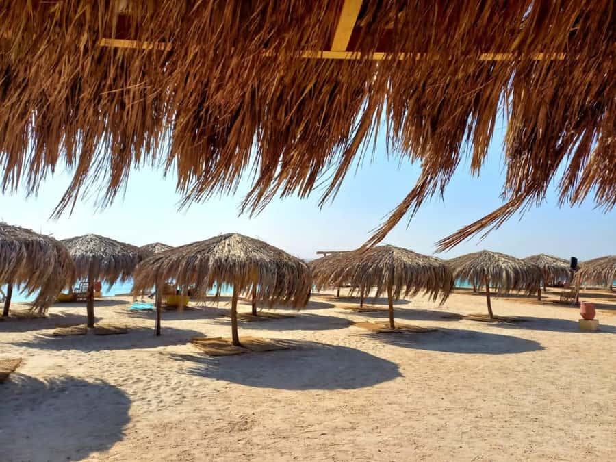 Hurghada: Yacht trip To Magawish island w Snorkeling & Lunch - The 30-minute dolphin search