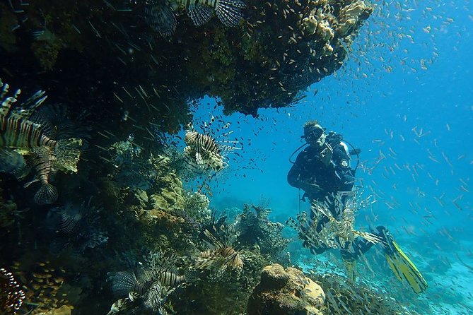 Intro Diving 2 Stops For Beginners with Pick-up and Lunch - Hurghada - The second stop and the long wait between activities