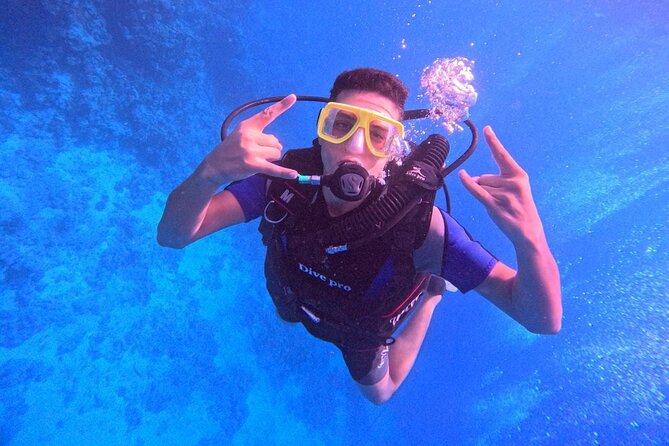 Intro Diving Beginner and Discover Red Sea Underwater - Carless Reef or Fanadir for the second session