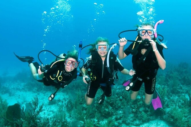 Intro Diving for Beginners 2 Stops Diving with Lunch - Hurghada - One Hour Across the Red Sea