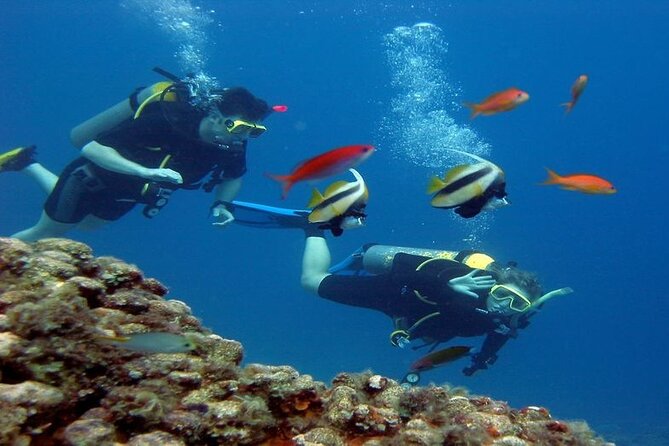 Intro Diving for Beginners 2 Stops Diving with Lunch - Hurghada - Your First Underwater Session