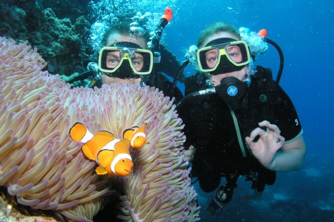 Intro Scuba Diving: 2 Dive Stops With Lunch & transfer - Hurghada - The first underwater stop: a gentle introduction