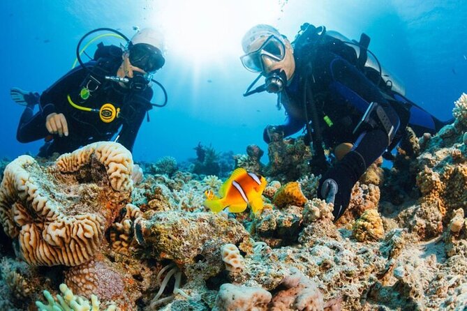 Intro Scuba Diving: 2 Dive Stops With Lunch & transfer - Hurghada - The second underwater stop and what it adds