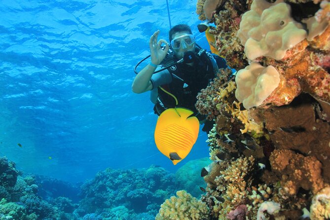 Intro Scuba Diving: 2 Dive Stops With Lunch & transfer - Hurghada - The real price: attractive, but check the extras