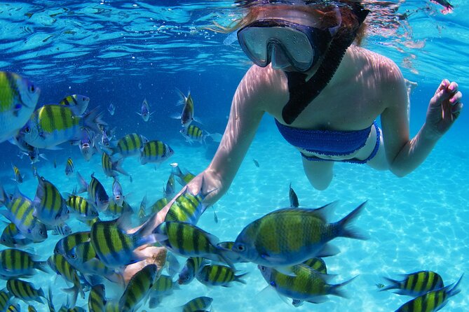 Intro Scuba Diving 2 Stops Trip with Transfers & Lunch - Hurghada - From your Hurghada hotel to the marina
