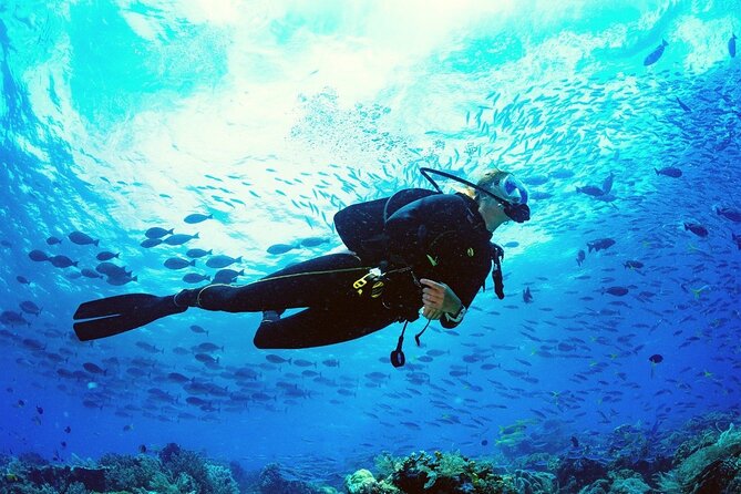 Intro Scuba Diving 2 Stops Trip with Transfers & Lunch - Hurghada - Safety, equipment, and hygiene