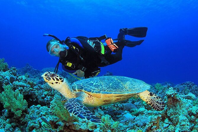 Intro Scuba Diving 2 Stops Trip with Transfers & Lunch - Hurghada - Who will enjoy this Hurghada boat trip?