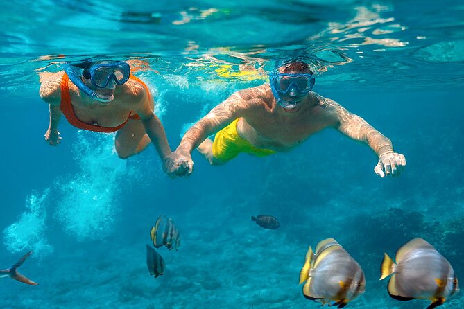 Intro Scuba Diving 2 Stops Trip with Transfers & Lunch - Hurghada - The first underwater stop in the Red Sea