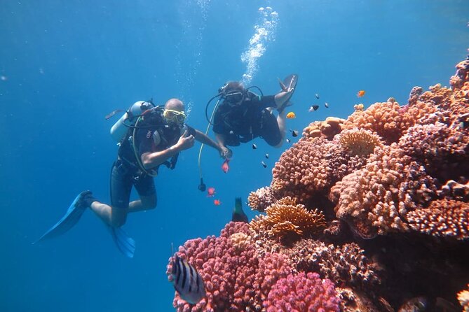 Intro Scuba Diving - What the $23.26 price really includes