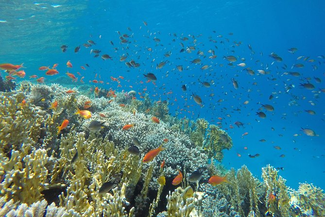Intro Scuba Diving - Crew service and the practical details