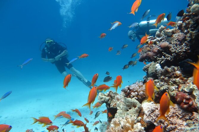 Intro Scuba Diving - Who will get the most from this outing
