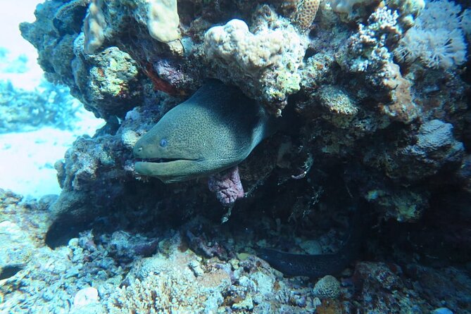 Intro Scuba Diving - Cancellation and weather planning