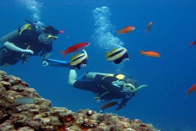 Intro Scuba Diving Beginners Full Day Boat Trip 2 Stops Diving & Lunch– Hurghada - The interval between sessions