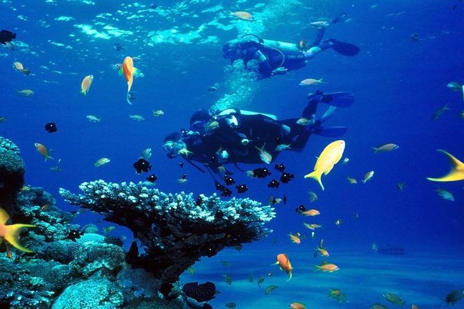 Intro Scuba Diving Beginners Full Day Boat Trip 2 Stops Diving & Lunch– Hurghada - What the $20 price really includes