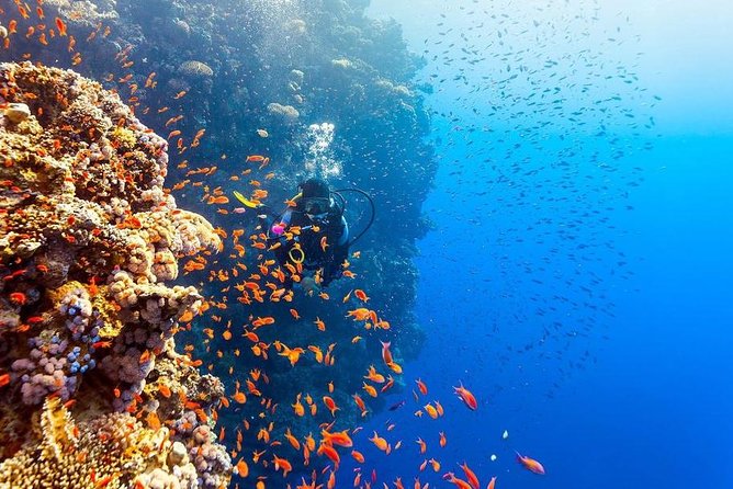 Intro Scuba Diving Beginners Full Day Boat Trip 2 Stops Diving & Lunch– Hurghada - Safety, instruction, and comfort in the water