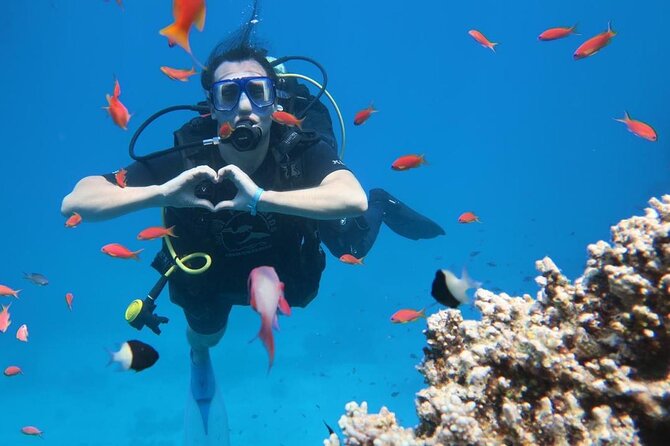 Introduction: Diving from the Reef in Sharm El Sheikh - What this Sharm el Sheikh reef experience really offers