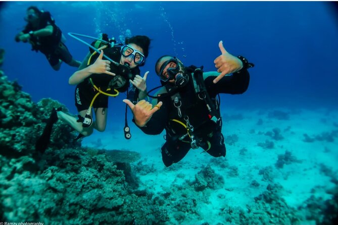 Introduction: Diving from the Reef in Sharm El Sheikh - Getting comfortable with the equipment