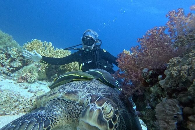 Introduction: Diving from the Reef in Sharm El Sheikh - Who will get the most from this experience