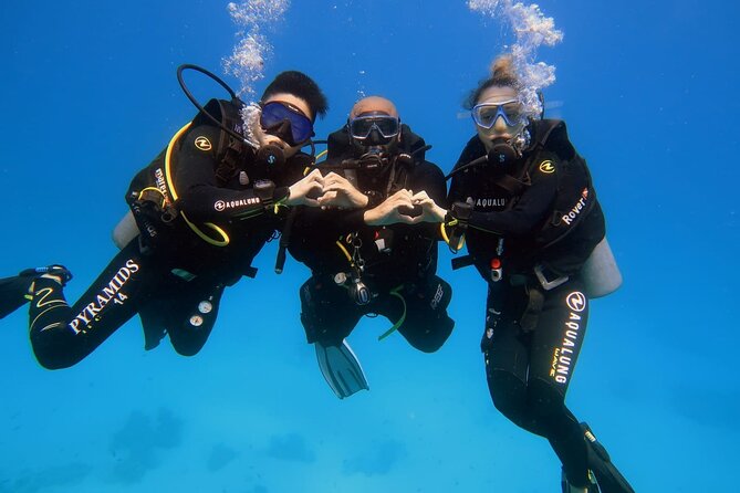 Introduction: Diving from the Reef in Sharm El Sheikh - Meeting the PADI instructor at 8:00 am