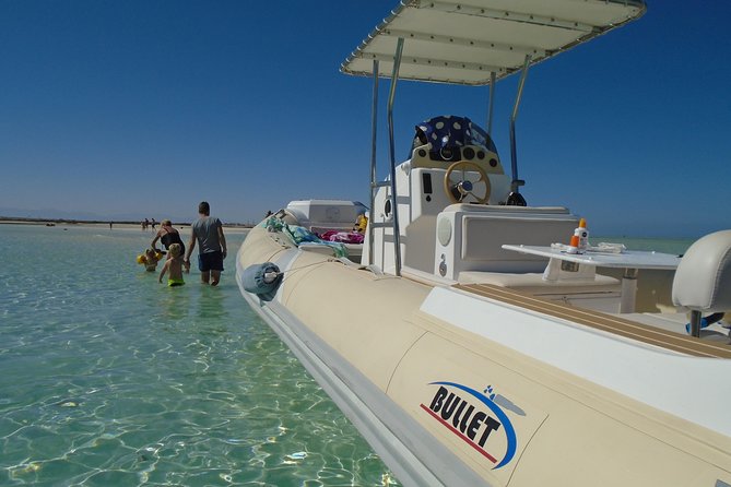 Islands & Snorkeling Private Tour in Hurghada - Dolphins, photos, and what is not guaranteed