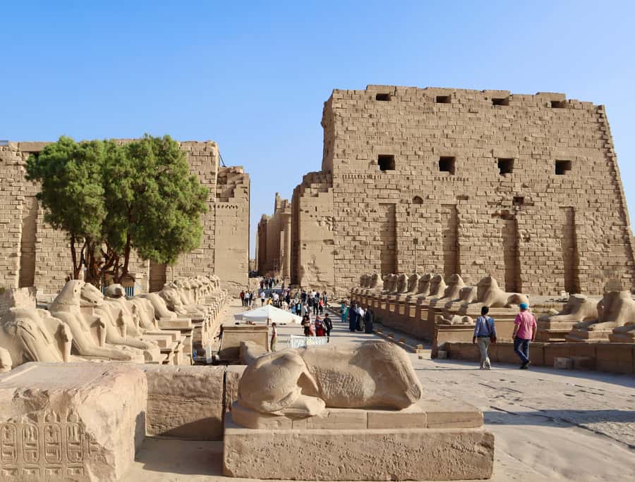 Luxor: East and/or West Banks Guided Tour with Lunch - Hatshepsut’s temple tells a different royal story