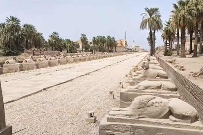 Luxor East Bank: Karnak and Luxor Temples (Private Tour) - What the $15 price really covers