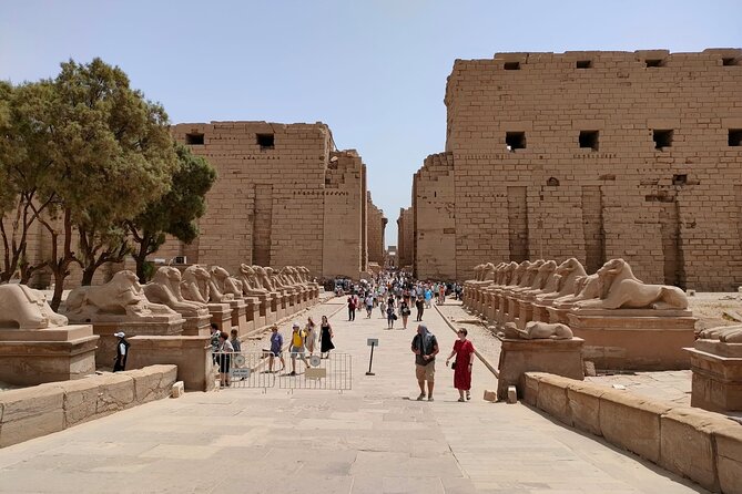 Luxor East Bank: Karnak and Luxor Temples (Private Tour) - Who will get the most from this tour
