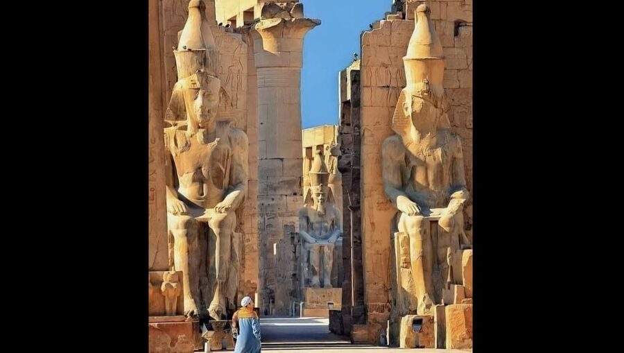 Luxor: Karnak and Luxor Temples Private Half-Day Tour - Who should book this East Bank tour?