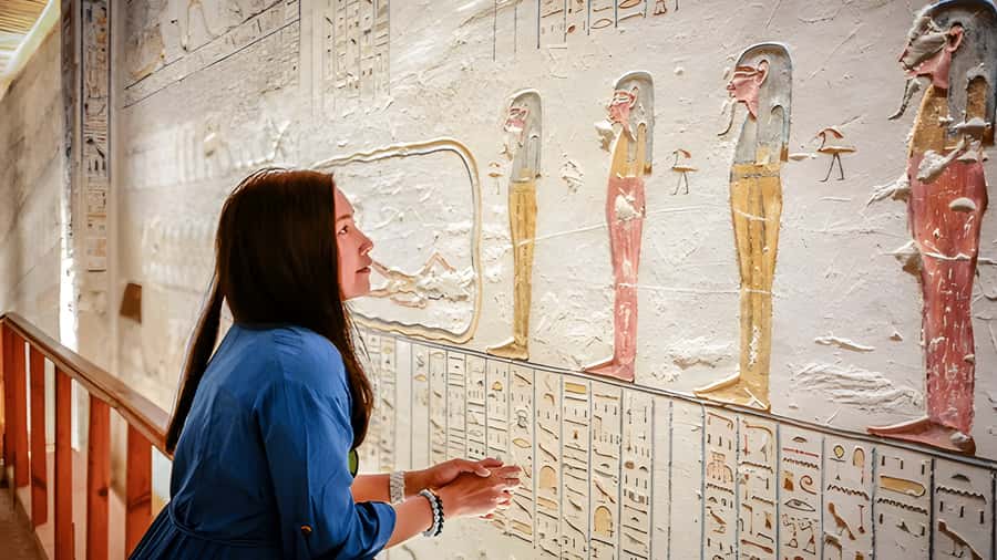 Luxor: Medinet Habu, Deir el-Medina & Valley of Queens Tour - What the private guide adds