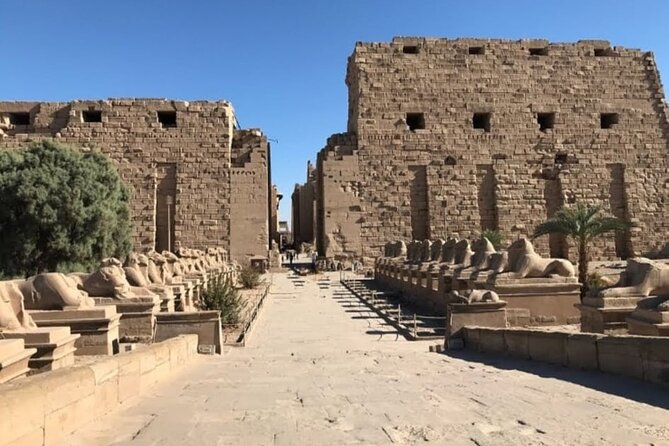 Luxor private excursion from Hurghada Makadi Bay Soma Bay Sahl Hasheesh Elgouna - Private transport, guides, and the feel of the day