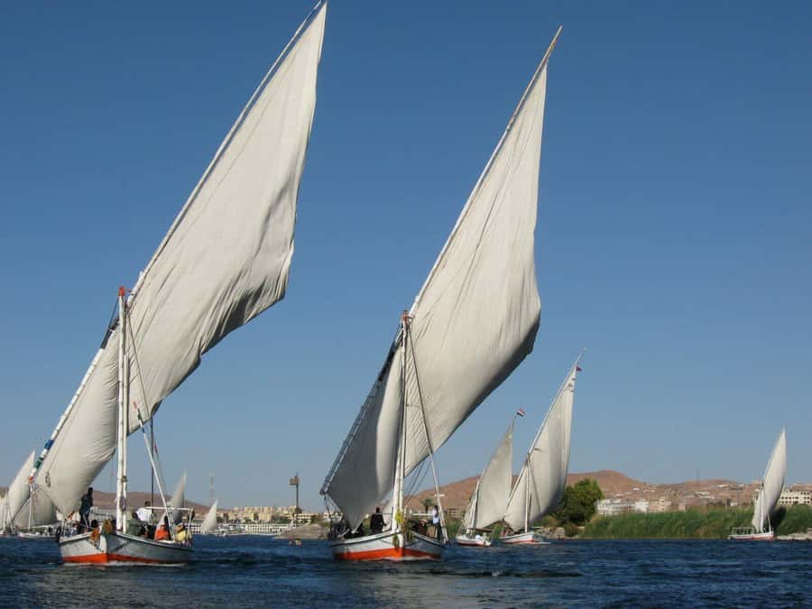 Luxor: Private Felucca Boat Trip with Hotel Pickup - A guide who adds more than directions