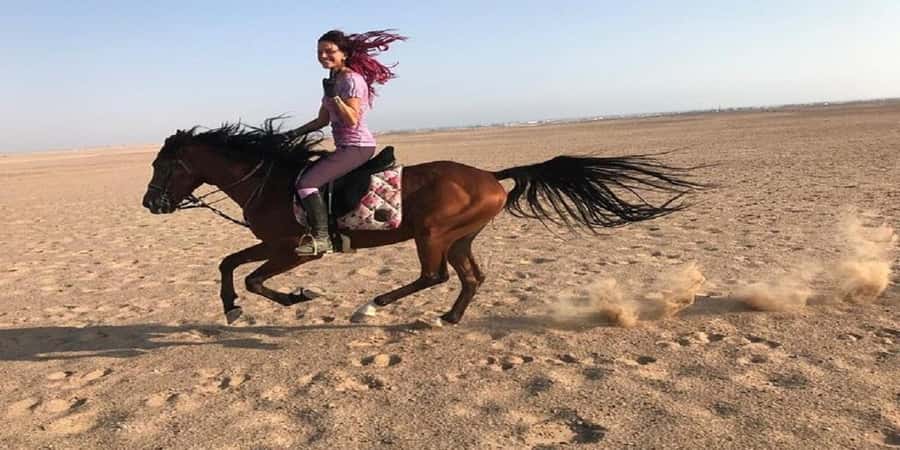 Luxor: Scenic Camel or Horse Ride - Six practical questions to ask before you go