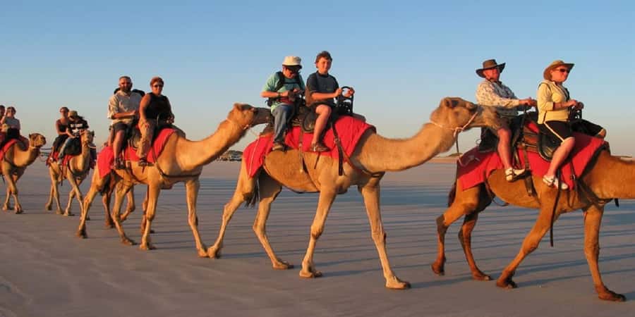 Luxor: Scenic Camel or Horse Ride - What the 90-minute outing is really like