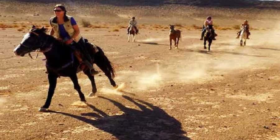 Luxor: Scenic Camel or Horse Ride - Animal care and the quality of the handlers