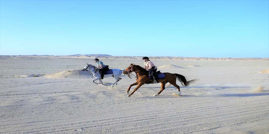 Luxor: Scenic Camel or Horse Ride - Is $15 good value?