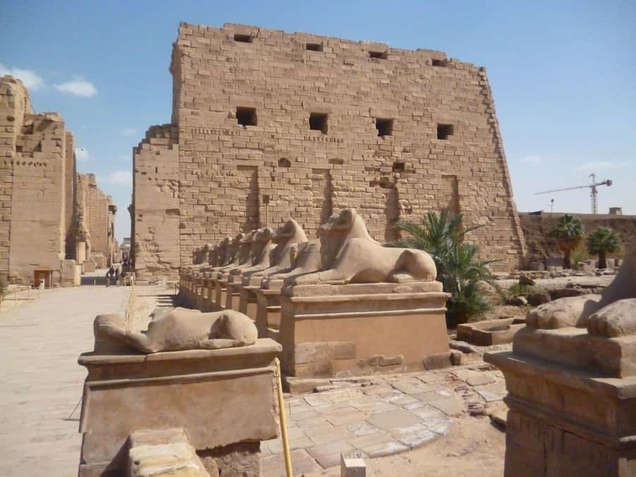 Luxor: West and East Banks All-Inclusive Tour & Balloon Ride - Guides, drivers, and the value of the service