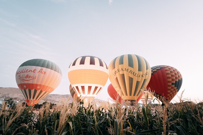 Luxury Balloon Ride in Luxor with Hotels Pickup - Safety and comfort in the basket