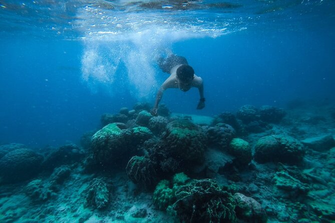 Luxury Cruise inc. Snorkeling/Massage/Island/water sport & Lunch - The first stop at Orange Bay