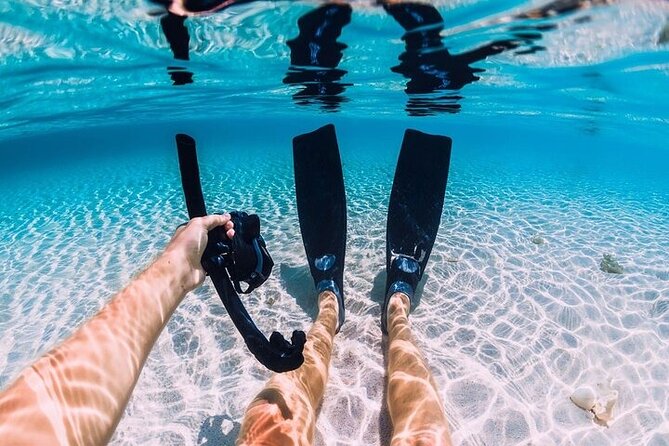 Magawish Island By Private Speedboat with Snorkeling - Hurghada - Who should book this Magawish trip?