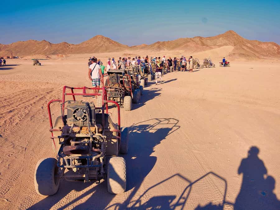 Makadi Bay: ATV, Sea View, Camel, Stargazing, Dinner & Show - Key things to know before you book