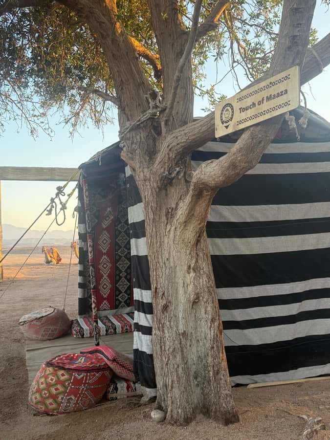 Makadi Bay: BADU Luxury Bedouin Dinner Experience & Stargaze - Key points at a glance