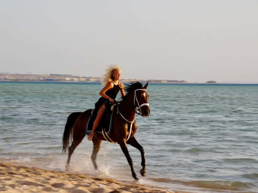 Makadi Bay: Horse Riding in Desert & Sea w Guide + Transfers - Key points to know before you ride