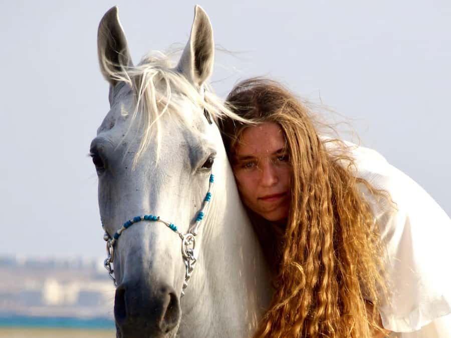 Makadi Bay: Horse Riding in Desert & Sea w Guide + Transfers - From Hurghada pickup to Makadi Bay