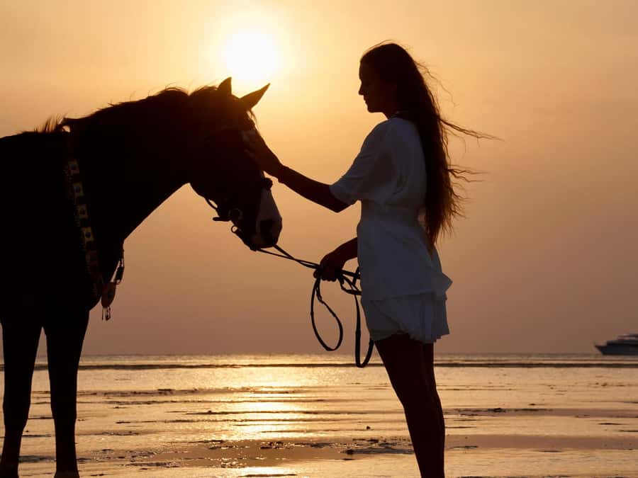 Makadi Bay: Horse Riding in Desert & Sea w Guide + Transfers - Crossing the golden desert on horseback