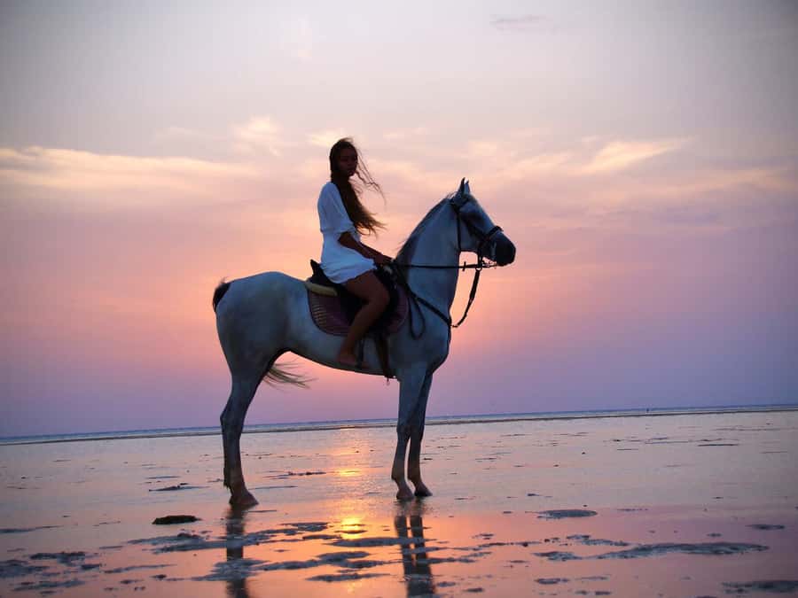Makadi Bay: Horse Riding in Desert & Sea w Guide + Transfers - How the guides affect your comfort