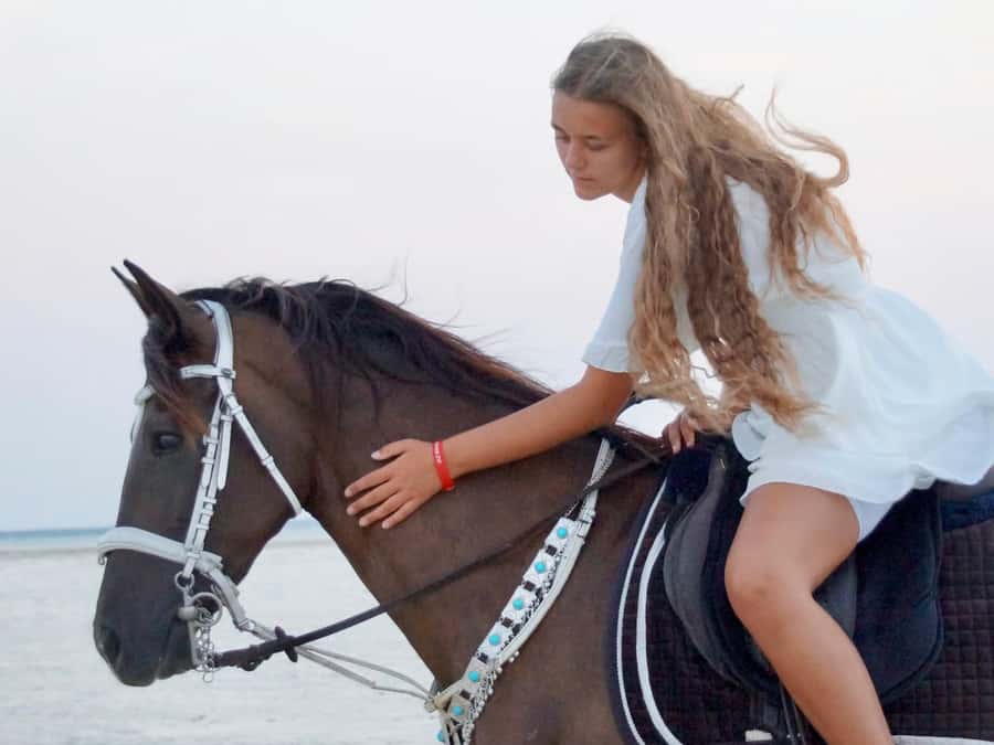 Makadi Bay: Horse Riding in Desert & Sea w Guide + Transfers - What the $35 price really covers